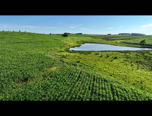 LAND FOR SALE IN MOUNT VERDE